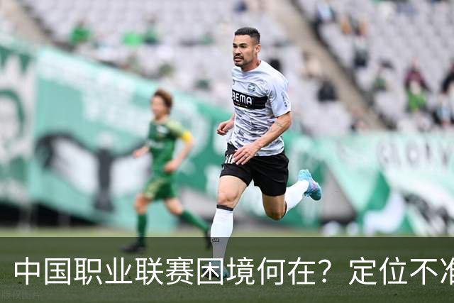 中国职业联赛困境何在？定位不准！理念错位！